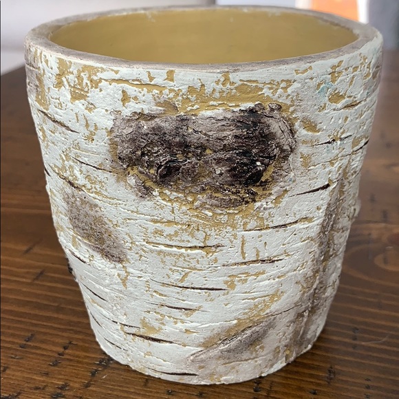 Rustic succulent pots - Picture 3 of 3